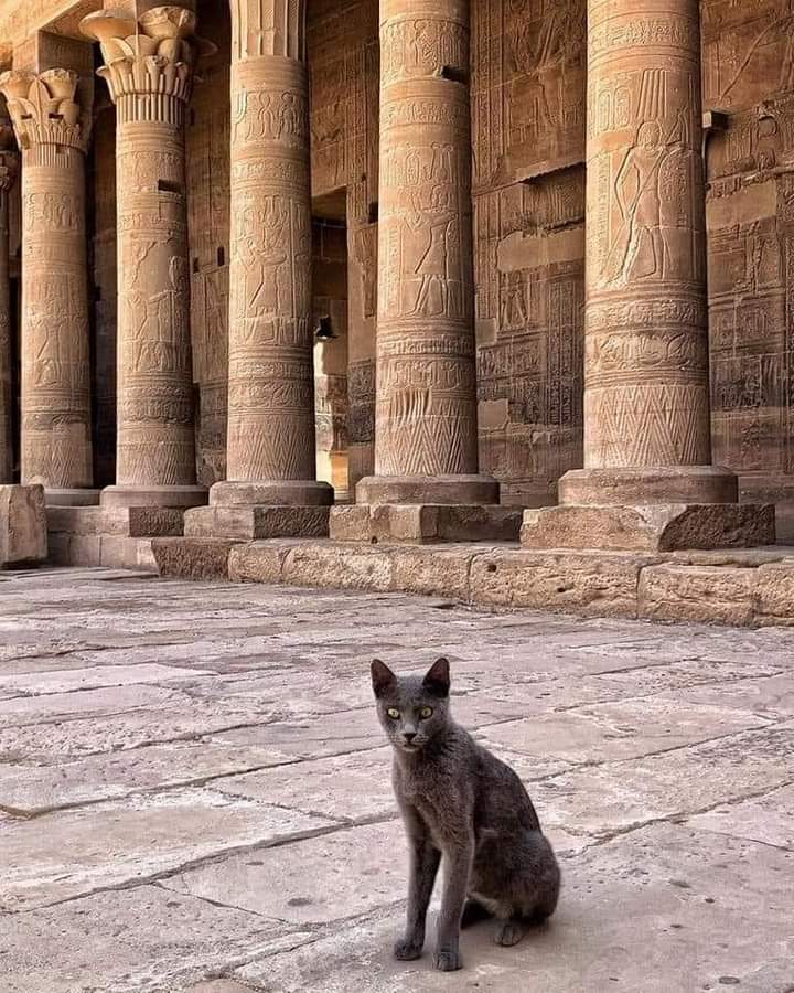 Luxor